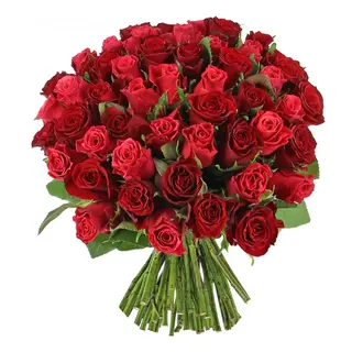 100 Roses rouges 
