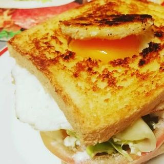 Sándwich Vegetal con huevo