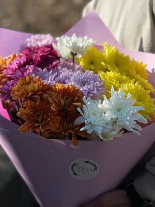 ფერადი ქრიზანთემა (10ტოტი)