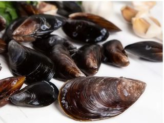 Мідії в мушлях (100g)