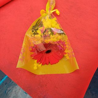 Mimose con 1 gerbere 