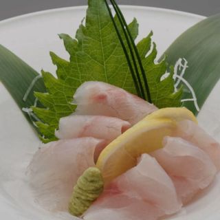 Suzuki Sashimi