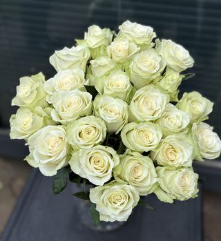 Białe róże, 19 sztuk