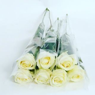 1 Rose blanche