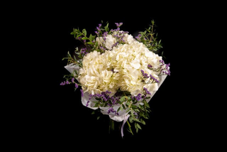 Buchet hortensii albe