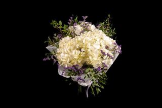 Buchet hortensii albe