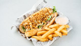 Salmon Dog + Dip Fries