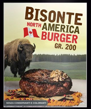 Hamburger Bisonte 440 senza glutine