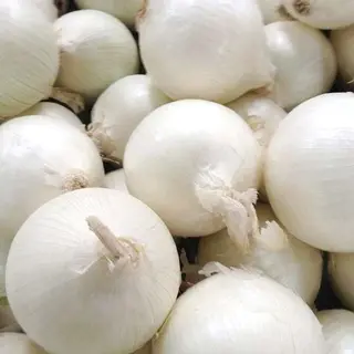 Cipolla bianca al kg