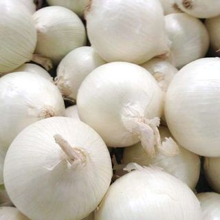 Cipolle bianche  kg