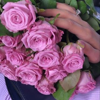 იისფერი ვარდები