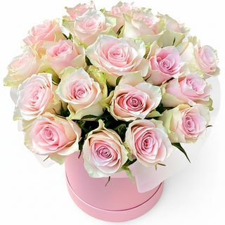 Квіти в коробці “19 троянд Pink Athena”