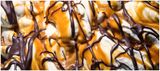 Banana Split