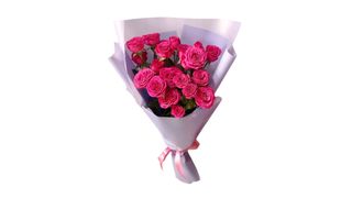 Pink spray rose