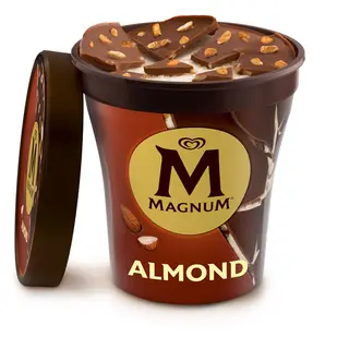 Helado de Vainilla con Chocolate y Almendra