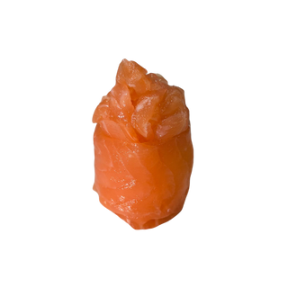 9. Gio De Salmón (2 Pzs.)