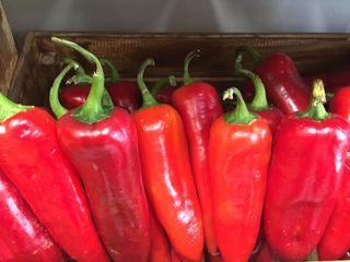 Червена чушка