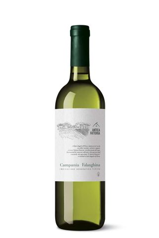 Falanghina Beneventano I.G.T