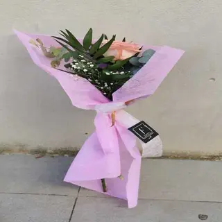 Rosa Rosa Unidad