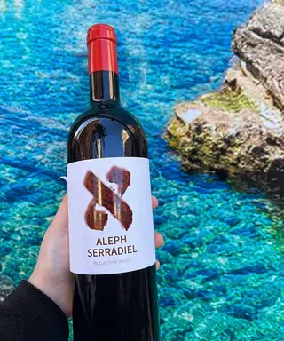 Aleph Serradel 