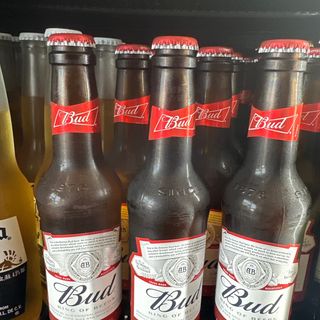 Budweiser bottiglia 33 cl