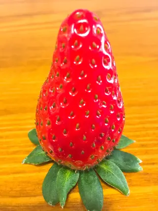 salsa agridulce