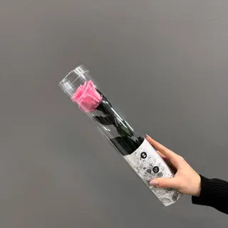 Una rosa corta ( rosa ) preservada  