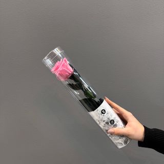 Una rosa corta ( rosa ) preservada  