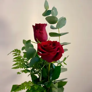 Dos Rosas Rojas