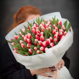 Букет зі 101-го з біло-рожевого голландського тюльпану