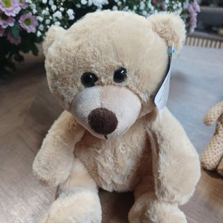 N° 21 Orsetto   25 cm