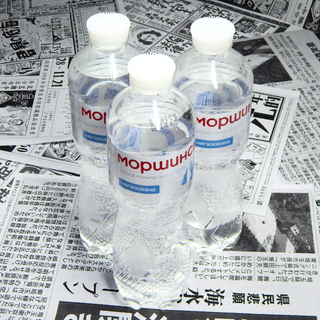 Моршинська 