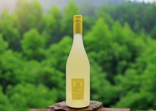 Falanghina frizzante