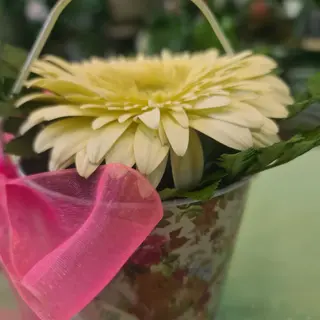 Pureza