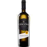  "CHARDONNAY" CRICOVA VINTAGE