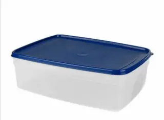 Plastic container