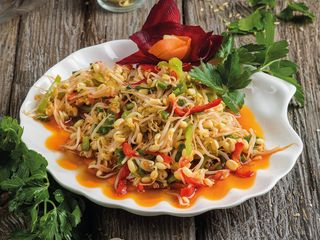 Бобовые ростки