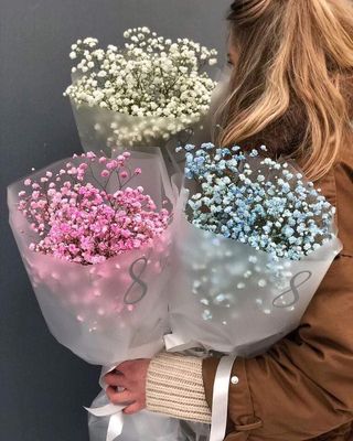  გიფსოფილა ( მიუთითეთ სასურველი ფერი)