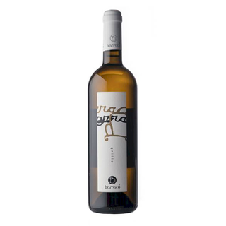 Barracco (Grillo)