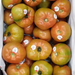 Tomate Ensalada Extra Eusko Label 500 Gr