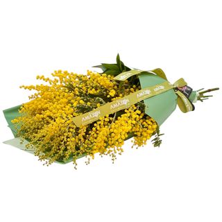 Mimoze în buchet