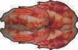Nigiri  amaebi - 2 pezzi