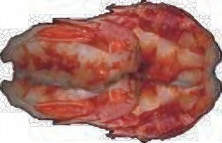 Nigiri  amaebi - 2 pezzi