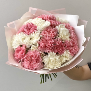 Букет з 25 гвоздик мікс