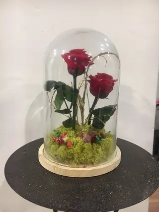 Cúpula Rosa Grande