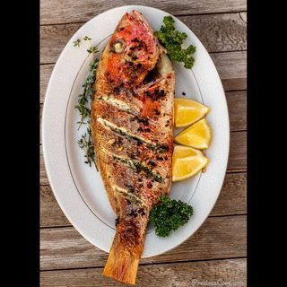 GRILLED RED SNAPPER