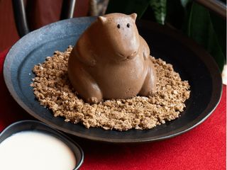 ПАННА КАПІБАРА