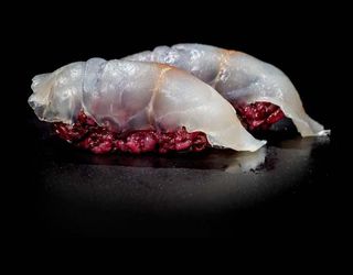 68. Venere branzino nigiri - 2 pezzi