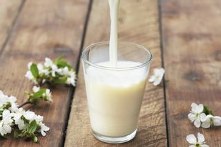 Vaso De Leche