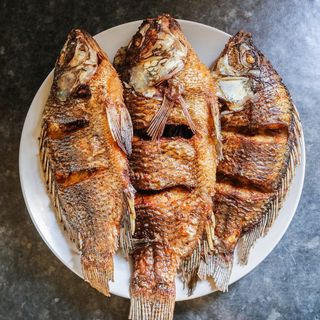 Plain Fish